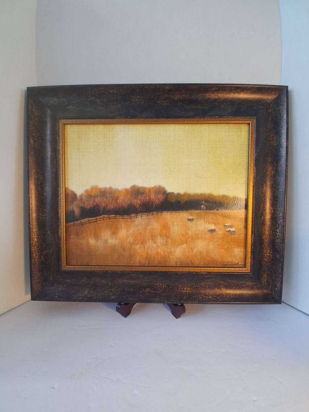 Tandi Venter "Open Range II" Framed Canvas Print Country Landscape Trees Sheep